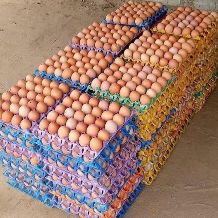 Crate of Eggs