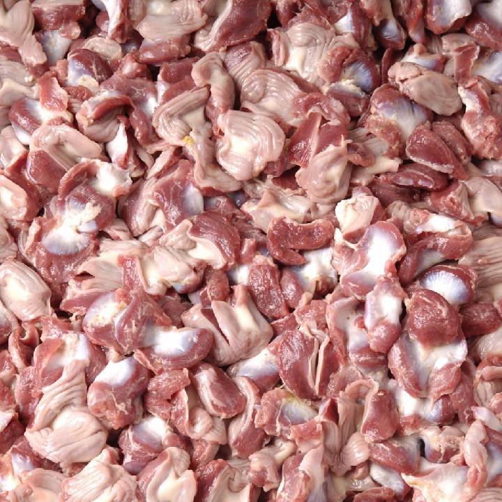 Chicken Gizzard - Wholesale - Takib Farms and Agro Products Ltd