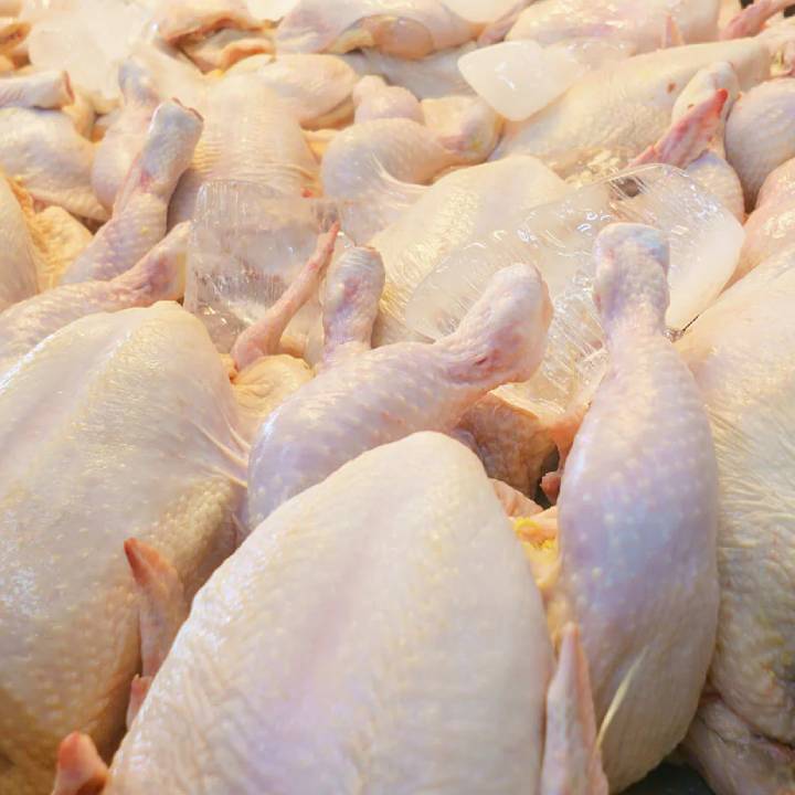 Frozen Chicken - Wholesale - Takib Farms and Agro Products Ltd